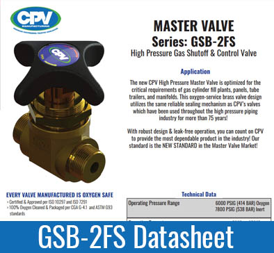 GSB-2FS Master Valve Datasheet